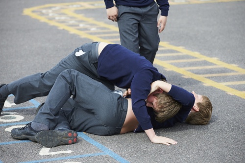 Beyond Exclusion: Violence, Inclusion and the New Statutory Framework